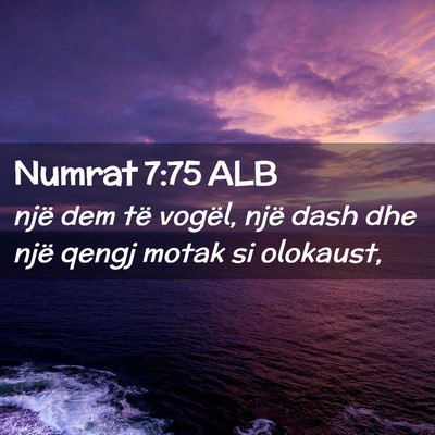 Picture 02 - Numrat 7:75 ALB - një dem të vogël, një dash dhe një qengj - Bible Verse Picture