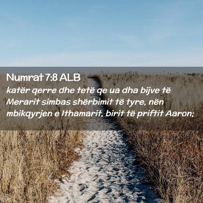 Picture 02 - Numrat 7:8 ALB - katër qerre dhe tetë qe ua dha bijve të - Bible Verse Picture