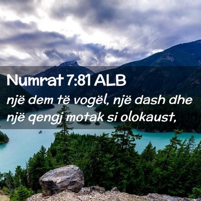 Picture 02 - Numrat 7:81 ALB - një dem të vogël, një dash dhe një qengj - Bible Verse Picture