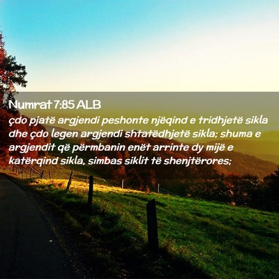 Picture 02 - Numrat 7:85 ALB - çdo pjatë argjendi peshonte njëqind e - Bible Verse Picture