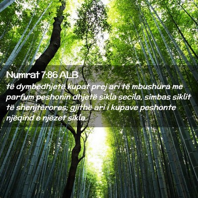 Picture 02 - Numrat 7:86 ALB - të dymbëdhjetë kupat prej ari të mbushura me - Bible Verse Picture