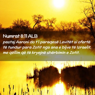 Picture 02 - Numrat 8:11 ALB - pastaj Aaroni do t’i paraqesë Levitët si - Bible Verse Picture
