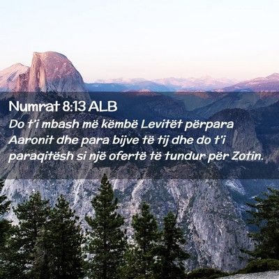 Picture 02 - Numrat 8:13 ALB - Do t’i mbash më këmbë Levitët përpara - Bible Verse Picture