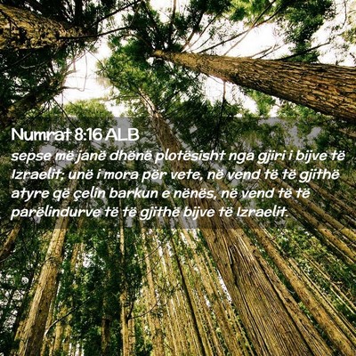 Picture 02 - Numrat 8:16 ALB - sepse më janë dhënë plotësisht nga gjiri i - Bible Verse Picture