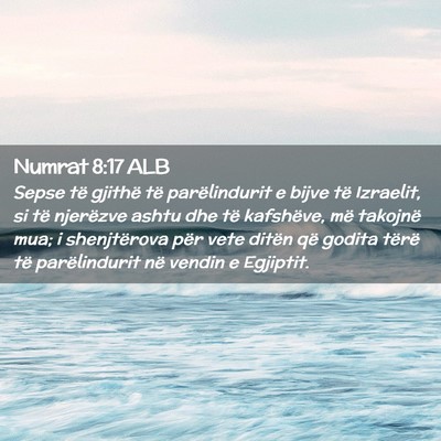 Picture 02 - Numrat 8:17 ALB - Sepse të gjithë të parëlindurit e bijve të - Bible Verse Picture