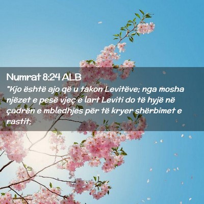 Picture 02 - Numrat 8:24 ALB - 