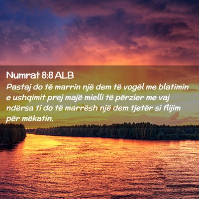 Picture 02 - Numrat 8:8 ALB - Pastaj do të marrin një dem të vogël me - Bible Verse Picture