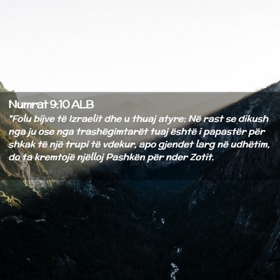 Picture 02 - Numrat 9:10 ALB - 