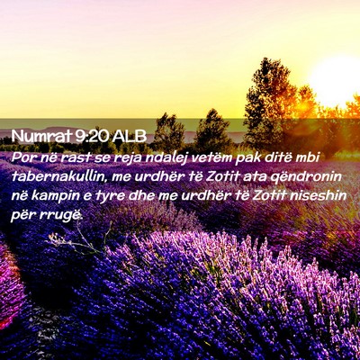 Picture 02 - Numrat 9:20 ALB - Por në rast se reja ndalej vetëm pak ditë mbi - Bible Verse Picture