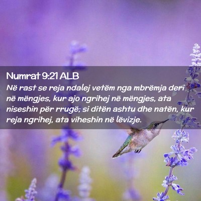 Picture 02 - Numrat 9:21 ALB - Në rast se reja ndalej vetëm nga mbrëmja deri - Bible Verse Picture