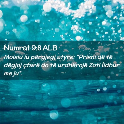 Picture 02 - Numrat 9:8 ALB - Moisiu iu përgjegj atyre: 