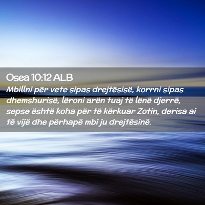 Picture 02 - Osea 10:12 ALB - Mbillni për vete sipas drejtësisë, korrni - Bible Verse Picture