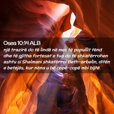 Picture 02 - Osea 10:14 ALB - një trazirë do të lindë në mes të popullit - Bible Verse Picture