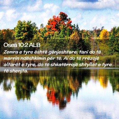 Picture 02 - Osea 10:2 ALB - Zemra e tyre është gënjeshtare; tani do të - Bible Verse Picture
