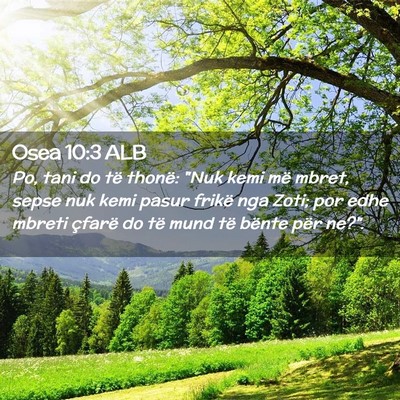 Picture 02 - Osea 10:3 ALB - Po, tani do të thonë: 