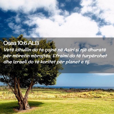 Picture 02 - Osea 10:6 ALB - Vetë idhullin do ta çojnë në Asiri si një - Bible Verse Picture