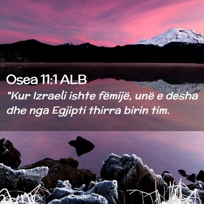 Picture 02 - Osea 11:1 ALB - 