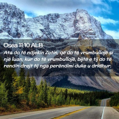 Picture 02 - Osea 11:10 ALB - Ata do të ndjekin Zotin, që do të vrumbullojë - Bible Verse Picture
