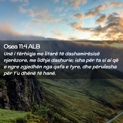 Picture 02 - Osea 11:4 ALB - Unë i tërhiqja me litarë të dashamirësisë - Bible Verse Picture