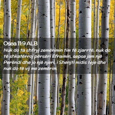 Picture 02 - Osea 11:9 ALB - Nuk do ta shfryj zemërimin tim të zjarrtë, nuk - Bible Verse Picture
