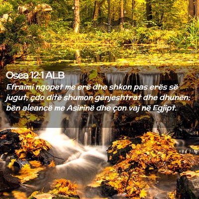 Picture 02 - Osea 12:1 ALB - Efraimi ngopet me erë dhe shkon pas erës së - Bible Verse Picture