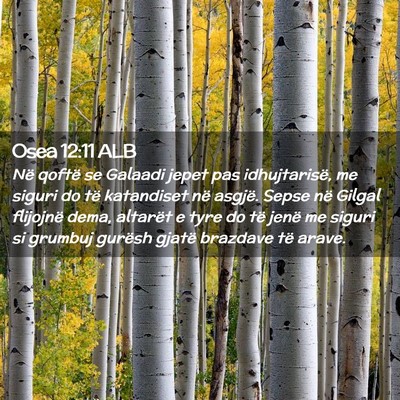 Picture 02 - Osea 12:11 ALB - Në qoftë se Galaadi jepet pas idhujtarisë, me - Bible Verse Picture