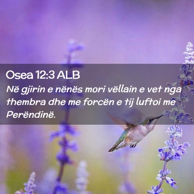 Picture 02 - Osea 12:3 ALB - Në gjirin e nënës mori vëllain e vet nga - Bible Verse Picture