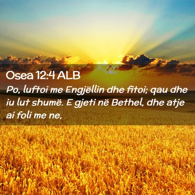 Picture 02 - Osea 12:4 ALB - Po, luftoi me Engjëllin dhe fitoi; qau dhe iu - Bible Verse Picture