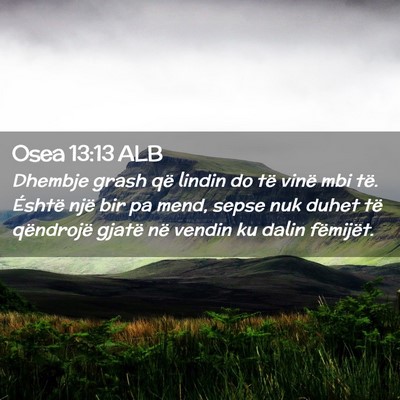 Picture 02 - Osea 13:13 ALB - Dhembje grash që lindin do të vinë mbi të. - Bible Verse Picture