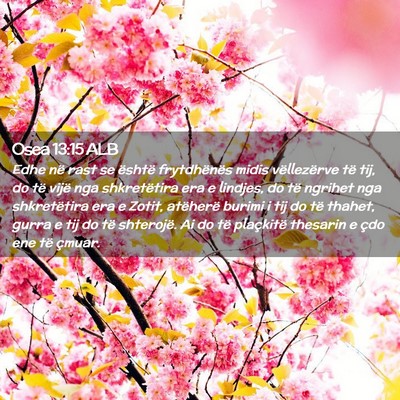 Picture 02 - Osea 13:15 ALB - Edhe në rast se është frytdhënës midis - Bible Verse Picture