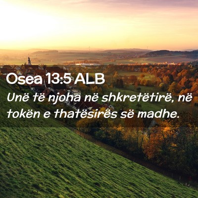 Picture 02 - Osea 13:5 ALB - Unë të njoha në shkretëtirë, në tokën e - Bible Verse Picture
