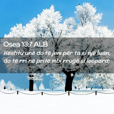 Picture 02 - Osea 13:7 ALB - Kështu unë do të jem për ta si një luan, do - Bible Verse Picture