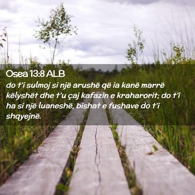 Picture 02 - Osea 13:8 ALB - do t’i sulmoj si një arushë që ia kanë - Bible Verse Picture
