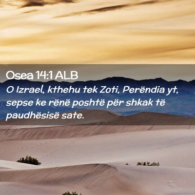 Picture 02 - Osea 14:1 ALB - O Izrael, kthehu tek Zoti, Perëndia yt, sepse ke - Bible Verse Picture