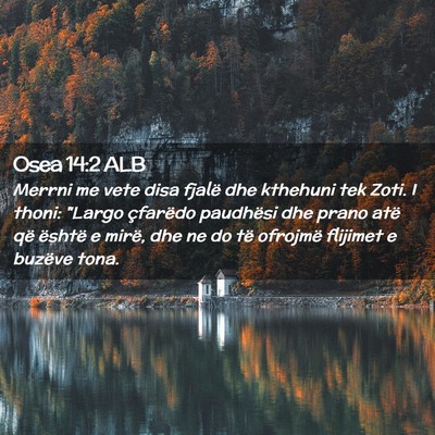 Picture 02 - Osea 14:2 ALB - Merrni me vete disa fjalë dhe kthehuni tek Zoti. - Bible Verse Picture