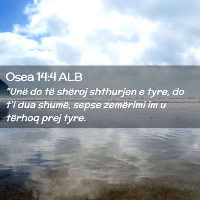 Picture 02 - Osea 14:4 ALB - 