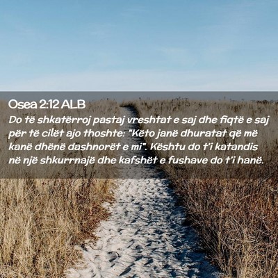 Picture 02 - Osea 2:12 ALB - Do të shkatërroj pastaj vreshtat e saj dhe - Bible Verse Picture