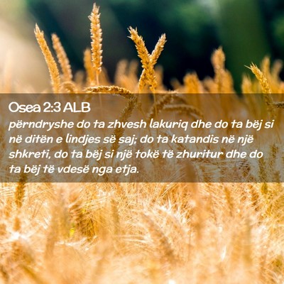 Picture 02 - Osea 2:3 ALB - përndryshe do ta zhvesh lakuriq dhe do ta bëj - Bible Verse Picture