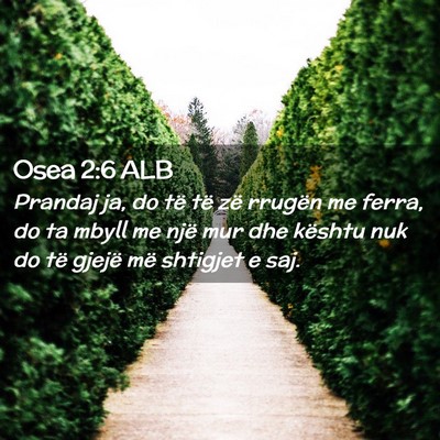 Picture 02 - Osea 2:6 ALB - Prandaj ja, do të të zë rrugën me ferra, do - Bible Verse Picture