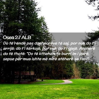 Picture 02 - Osea 2:7 ALB - Do të rendë pas dashnorëve të saj, por nuk do - Bible Verse Picture