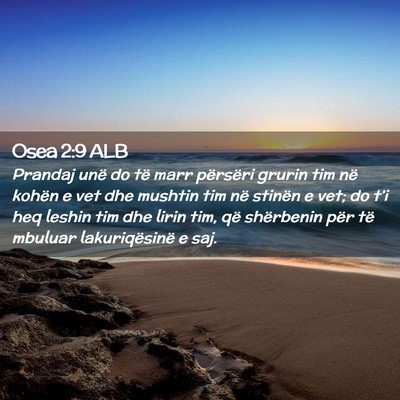 Picture 02 - Osea 2:9 ALB - Prandaj unë do të marr përsëri grurin tim në - Bible Verse Picture