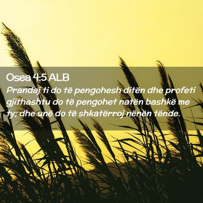 Picture 02 - Osea 4:5 ALB - Prandaj ti do të pengohesh ditën dhe profeti - Bible Verse Picture