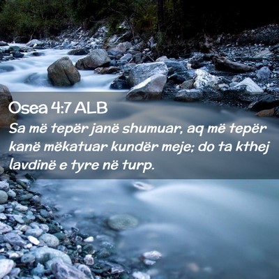 Picture 02 - Osea 4:7 ALB - Sa më tepër janë shumuar, aq më tepër kanë - Bible Verse Picture