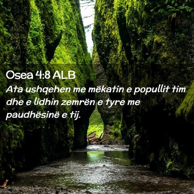 Picture 02 - Osea 4:8 ALB - Ata ushqehen me mëkatin e popullit tim dhe e - Bible Verse Picture