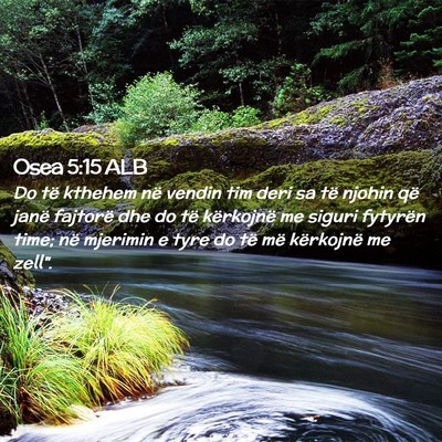 Picture 02 - Osea 5:15 ALB - Do të kthehem në vendin tim deri sa të njohin - Bible Verse Picture