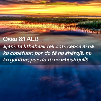 Picture 02 - Osea 6:1 ALB - Ejani, të kthehemi tek Zoti, sepse ai na ka - Bible Verse Picture