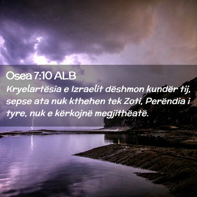 Picture 02 - Osea 7:10 ALB - Kryelartësia e Izraelit dëshmon kundër tij, - Bible Verse Picture