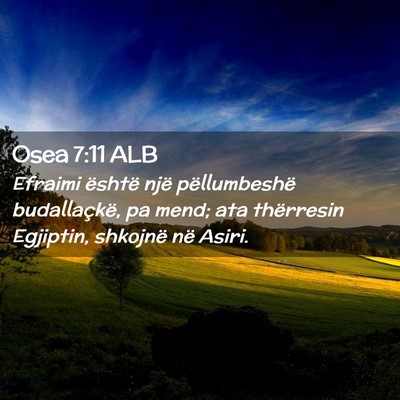 Picture 02 - Osea 7:11 ALB - Efraimi është një pëllumbeshë budallaçkë, - Bible Verse Picture