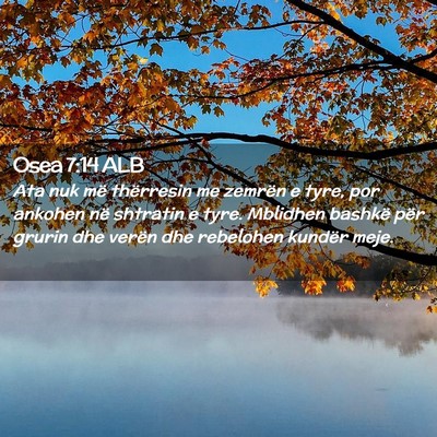 Picture 02 - Osea 7:14 ALB - Ata nuk më thërresin me zemrën e tyre, por - Bible Verse Picture