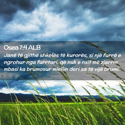 Picture 02 - Osea 7:4 ALB - Janë të gjithë shkelës të kurorës, si një - Bible Verse Picture